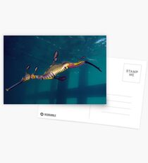 Flinders Fashion Postcards