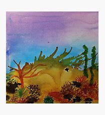 Quiet Coral Reef Photographic Print