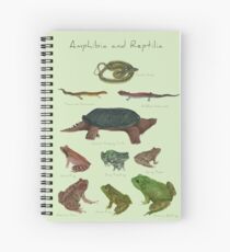 Amphibien und Reptilien Spiralblock