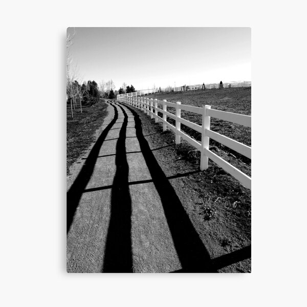 Fence Shadow Canvas Print