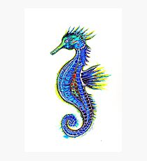 Sea Horse Photographic Print