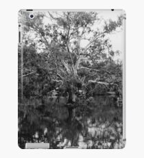 Loney Gum iPad Case/Skin