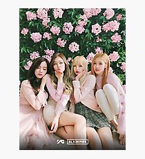 SCHWARZES ROSA Fotodruck