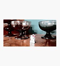 Monachopsis: Kitty Out of Place Photographic Print