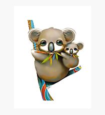 Koalas Photographic Print