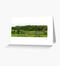 Rice Fields Greeting Card