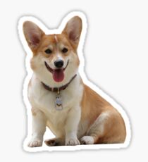 Pegatina Corgi