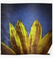 Penticton Sunflower Poster