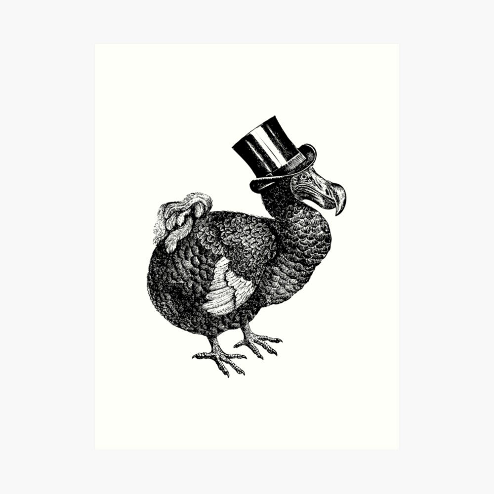 Mr Dodo | Vintage Dodos | Black and White | Art Print