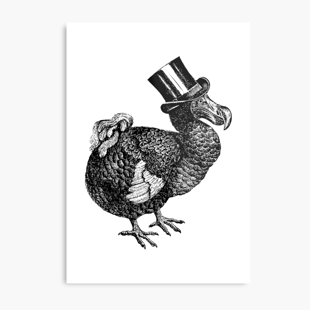 Mr Dodo | Vintage Dodos | Black and White | Metal Print