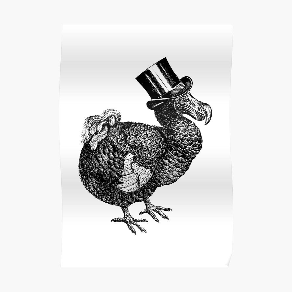 Mr Dodo | Vintage Dodos | Black and White | Poster