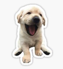 golden retriever puppy Sticker