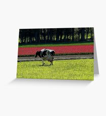 Grazing with Beauty! - Dairy Cow - NZ - Southland Greeting Card