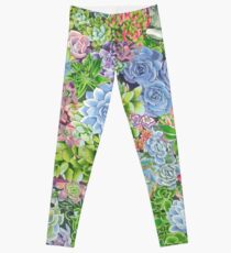 succulents! Leggings