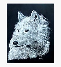 Arctic Wolf Photographic Print
