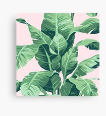 Beverly Hills Palm Leaf Banana Print Pink Canvas Print