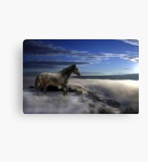 Dream-Mare Canvas Print