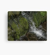 Mossy Rocks Waterfall Canvas Print