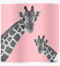 Giraffe Rosa Poster