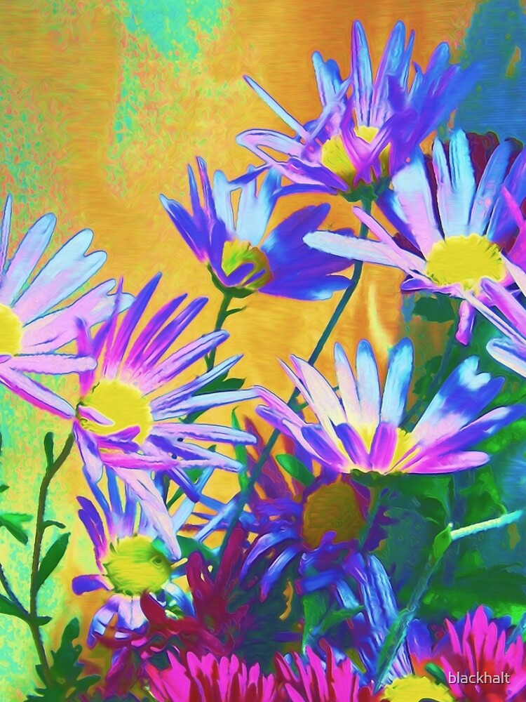 Flowers bloom by blackhalt