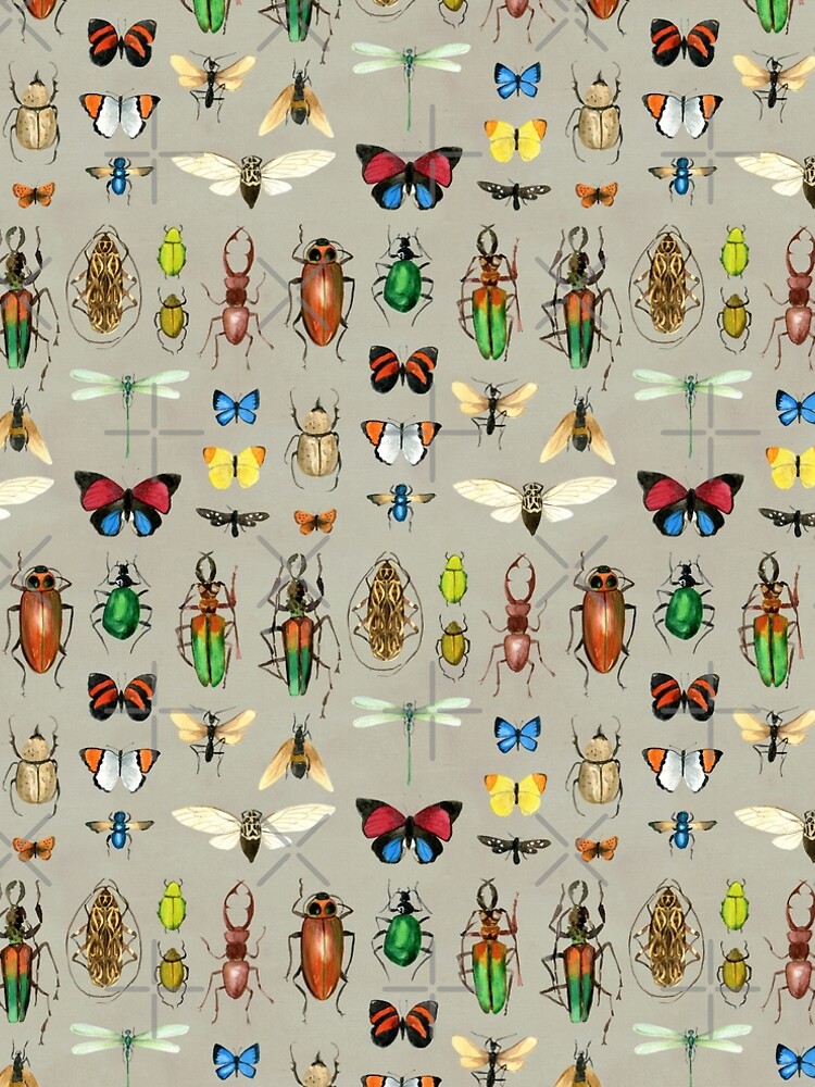 The Usual Suspects - Insects on grey - watercolour bugs pattern by Cecca Designs by Cecca-Designs