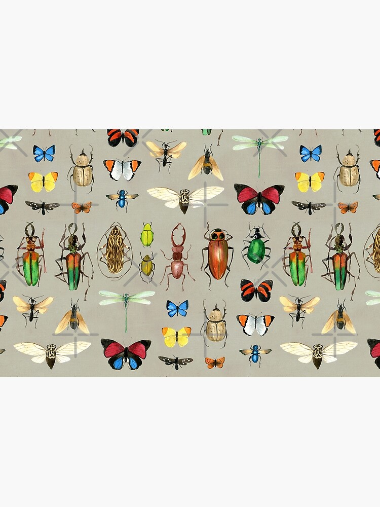 The Usual Suspects - Insects on grey - watercolour bugs pattern by Cecca Designs by Cecca-Designs