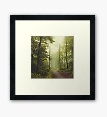 Long Forest Walk Framed Print