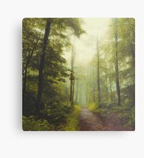 Long Forest Walk Metal Print
