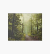 Long Forest Walk Art Board Print