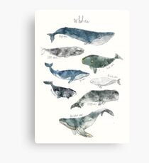 Whales Metal Print