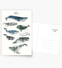 Whales Postcards