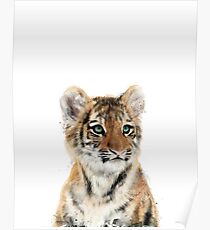 Little Tiger Poster