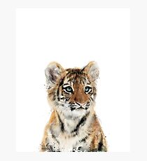 Little Tiger Photographic Print