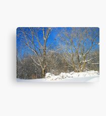 Blue Sky Winter Scene Metal Print