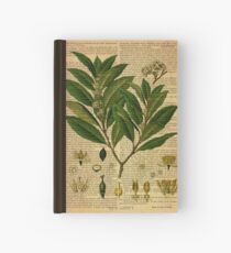 Botanischer Druck, auf alter Buchseite Notizbuch
