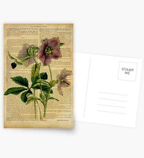 Botanical print, on old book page - flowers Postcards