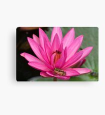 LOTUS Canvas Print