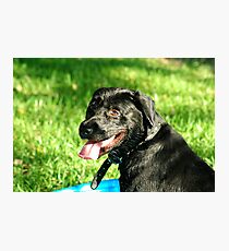 Shinra Photographic Print