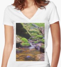 Relaxing long exposure Women's Fitted V-Neck T-Shirt
