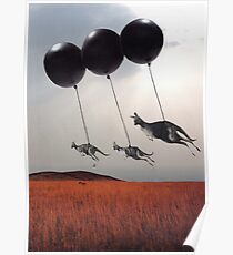 Black Balloons Poster