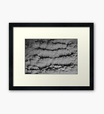 fluffy Framed Print