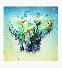 watercolor elephant Photographic Print