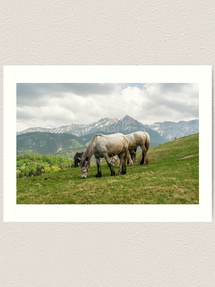 Alternate view of Keep grazing Art Print