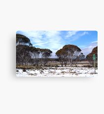 Cooma 100 - Snowy Mountains National Park,NSW Australia Canvas Print