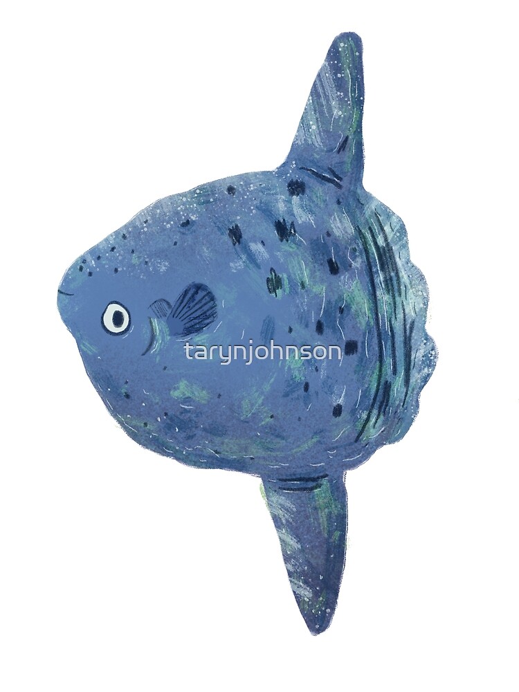 mola mola plush