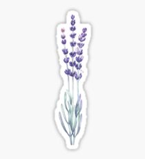 Watercolor lavender Sticker