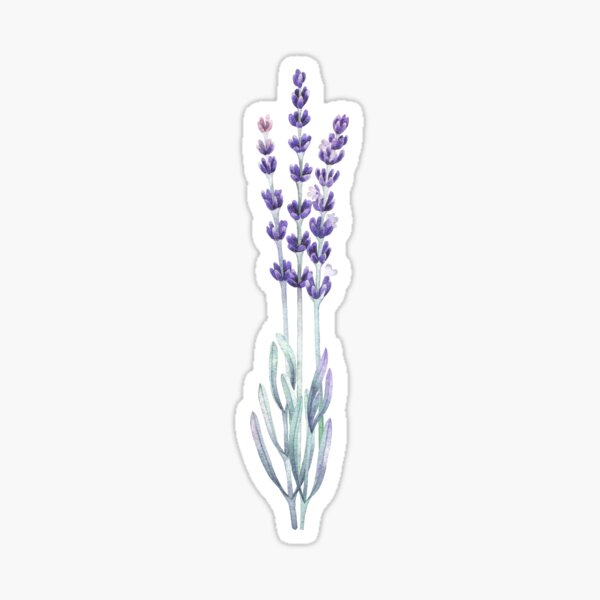 watercolor stickers redbubble