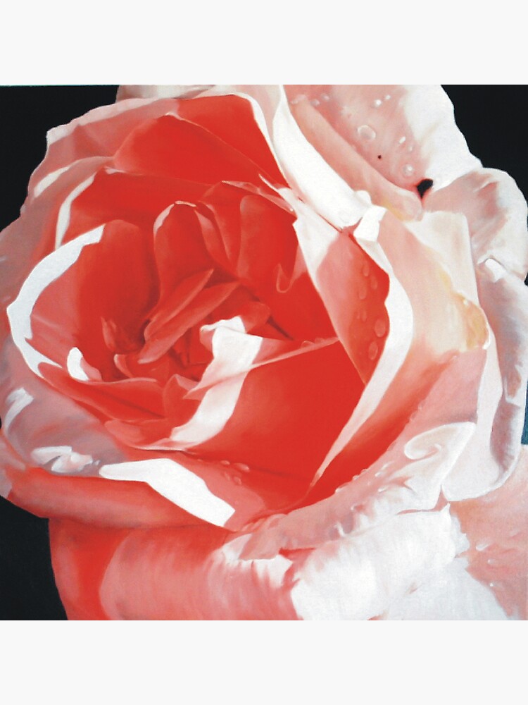 Cathy's Rose by melissamyartist