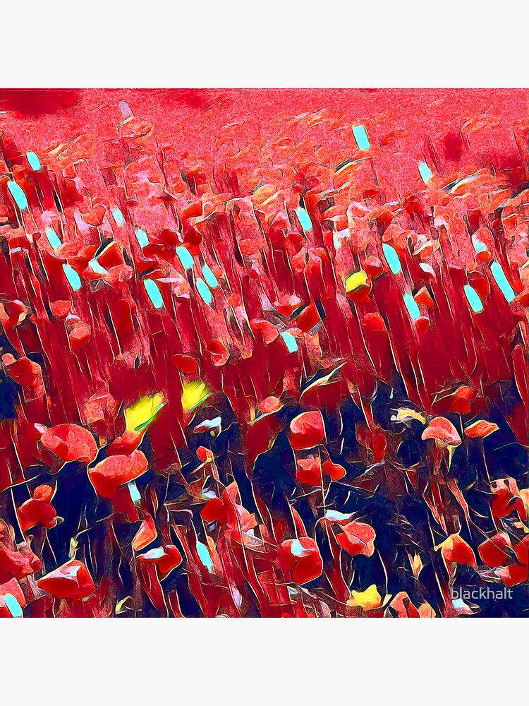 Magical poppy field by blackhalt