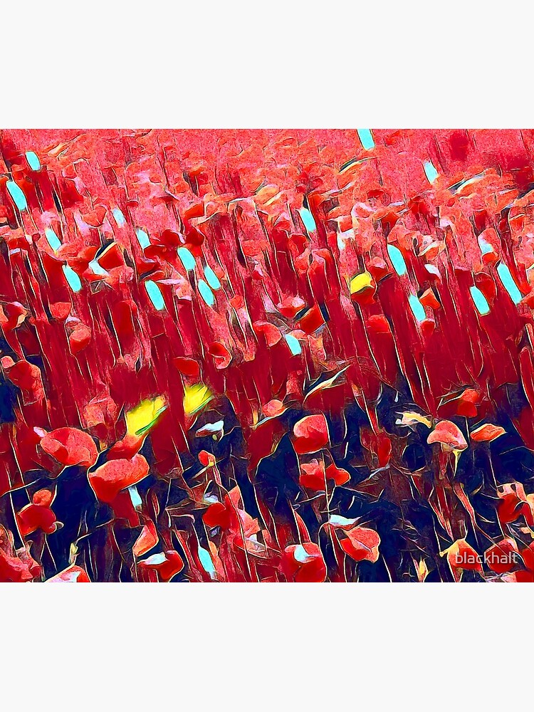Magical poppy field by blackhalt